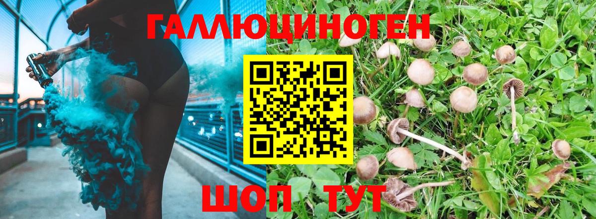 Ялта  Галлюциногенные грибы GOLDEN TEACHER  Вход с VPN  Псилоцибиновые грибы прущие грибы 